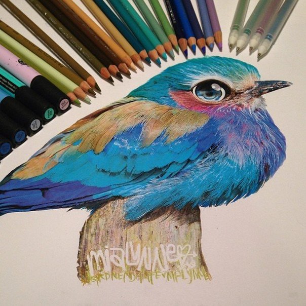Для создания своих удивительных рисунков художница Karla Mialynne не использует ничего сверхъестественного. Только цветные карандаши, иногда акриловые краски и маркеры.