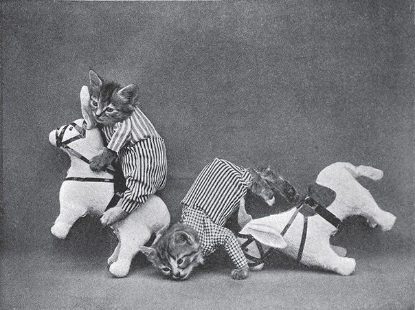 Фотографии животных в костюмах в стиле ретро, сделанные американским фотографом Гарри Уиттиером Фризом