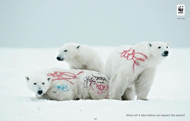 Всемирный фонд дикой природы (WWF): "До чего мы дойдем, прежде чем станем уважать природу?"