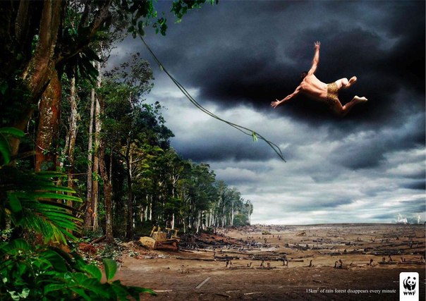 WWF: "Сохрани лес"