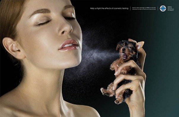 Социальная реклама, призывающая отказаться от косметики, которая тестируется на животных