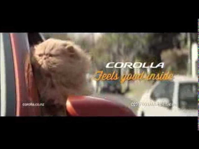 Toyota сняла рекламу о том, как кот влюбился в автомобиль. Новая Toyota Corolla 2013 поразила сердце кота мгновенно - это была любовь с первого взгляда. Ему было так хорошо в ней, что кот готов был пойти на все - и даже на верную смерть, чтобы снова оказаться в салоне Corolla.