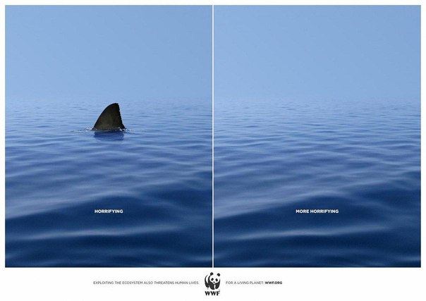 Реклама о вымирании акул: "С ними океан ужасен, а без них еще более ужасающий"