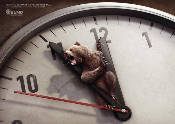 Жесткая социальная реклама: "Каждую минуту на Земле вымирает один вид животных. Задумайтесь"