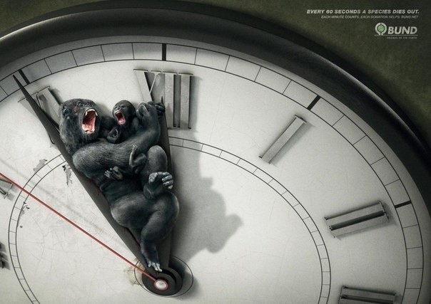 Жесткая социальная реклама: "Каждую минуту на Земле вымирает один вид животных. Задумайтесь"