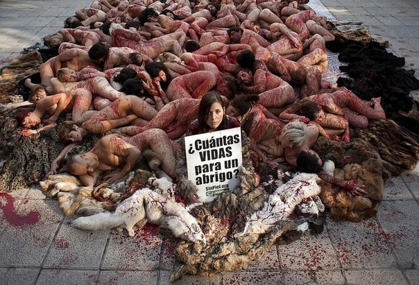 Уличная акция активистов AnimaNaturalis против убийства животных ради меха.