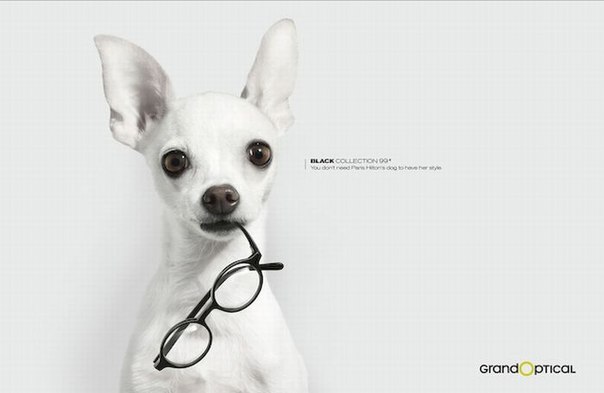 Подборка лучших рекламных принтов с собаками