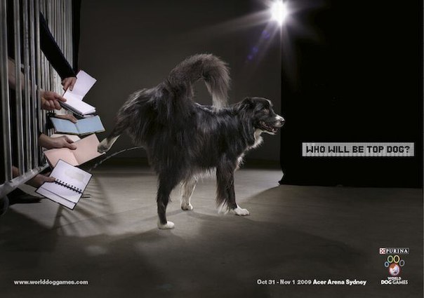 Подборка лучших рекламных принтов с собаками