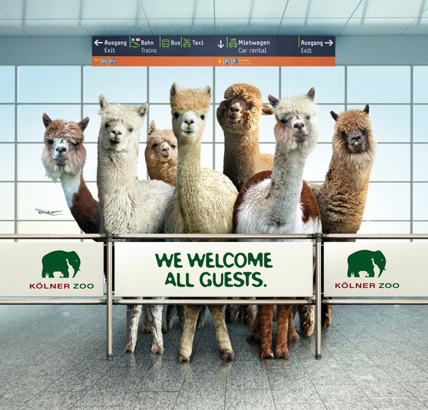 Креативная реклама Кёльнского зоопарка в аэропорту: "Добро пожаловать!"