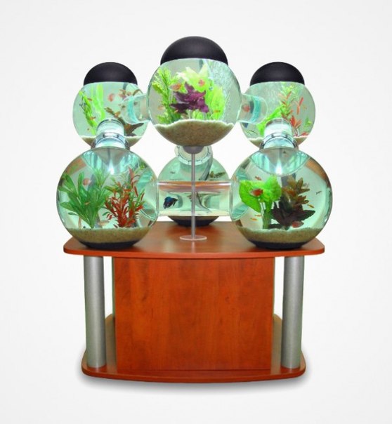 Подборка замечательных дизайнерских аквариумов