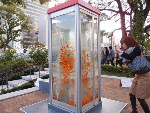 Золотые рыбки в телефонных будках в Японии
