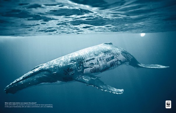 WWF: "До чего мы дойдем, прежде чем станем уважать природу?"