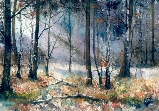 Акварельные лучи, пробивающиеся сквозь леса,  от художника Malgorzata Szczecinska