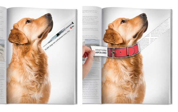 Социальная реклама: "10.000 собак усыпляется ежедневно. Возьмите себе собаку."