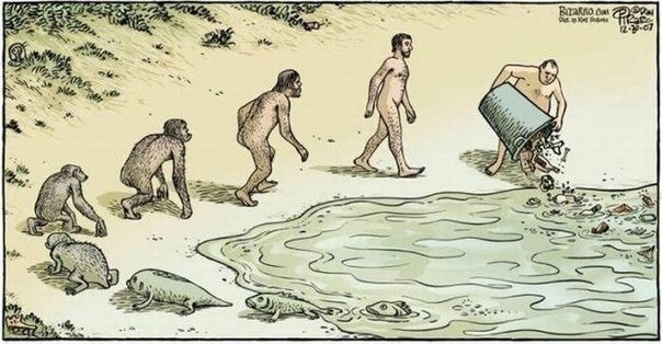 Эволюция?