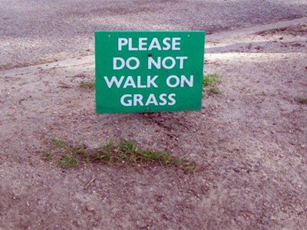 Пожалуйста, не ходите по траве