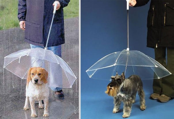 Подборка креативных зонтов