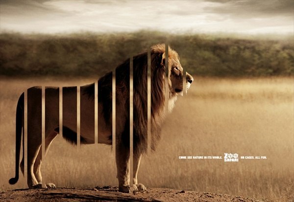 Реклама сафари: "Зоопарк без клеток"