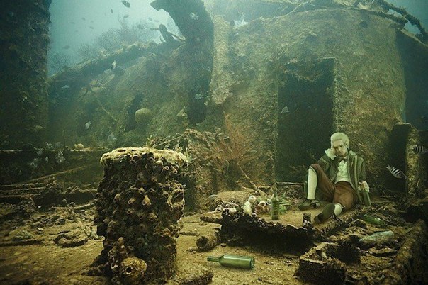 Невероятная подводная фотогалерея Андреаса Франке