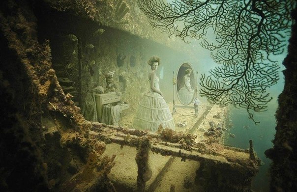 Невероятная подводная фотогалерея Андреаса Франке