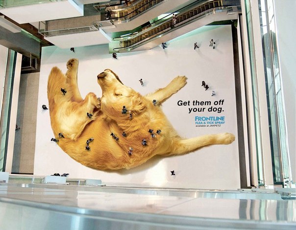 Реклама средства против блох Frontline. «Уберите их со своей собаки»