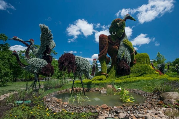 Цветочные скульптуры в ботаническом саду Монреаля