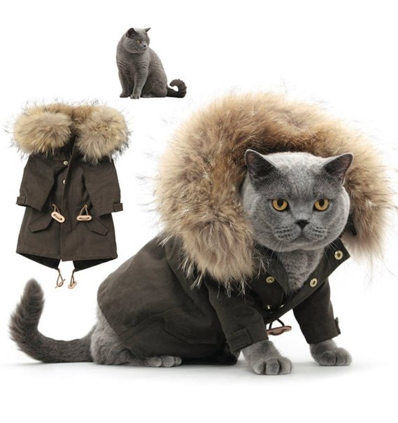 Куртка для кота