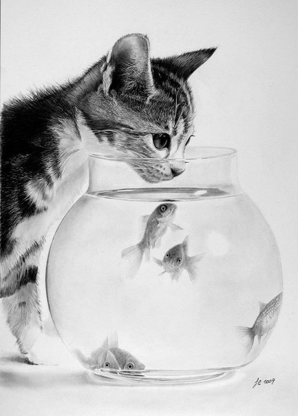 Невероятно реалистичные рисунки карандашом художника Франко Клун