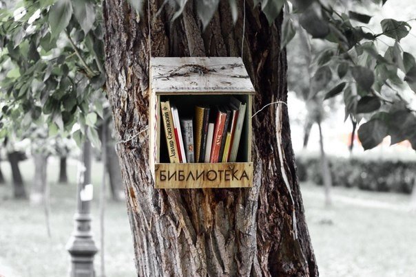 Мини-библиотека на дереве