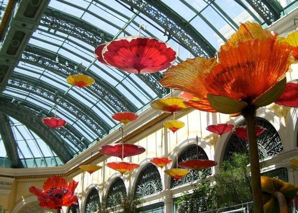 Самые крутые и масштабные инсталляции из зонтов разных красок и форм