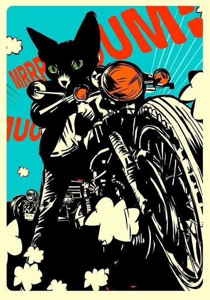 Sex, cats and rock'n'roll...