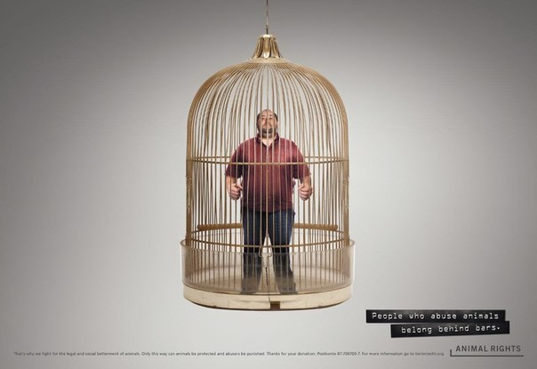 Социальная реклама: "Люди, которые издеваются над животными, должны быть за решеткой!"