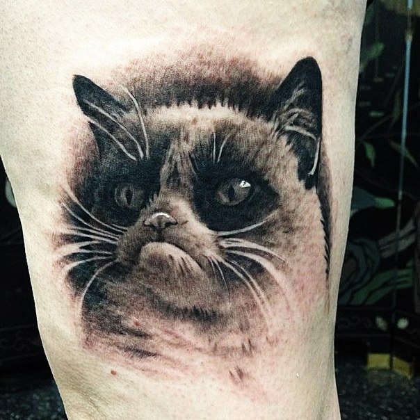 Татуировки со знаменитой Grumpy Cat