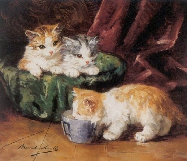 Кошачья лирика от Alphonse de Neuville