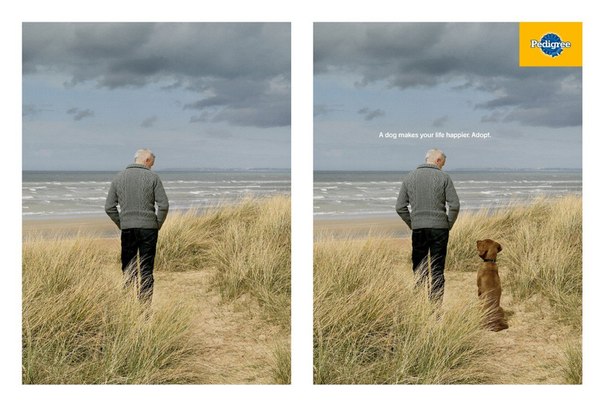 Социальная реклама от производителя собачьего корма Pedigree: "Возьми собаку из приюта. Она сделает твою жизнь счастливее"