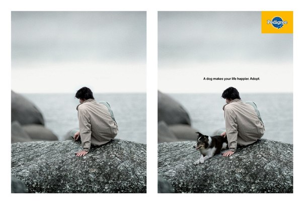 Социальная реклама от производителя собачьего корма Pedigree: "Возьми собаку из приюта. Она сделает твою жизнь счастливее"