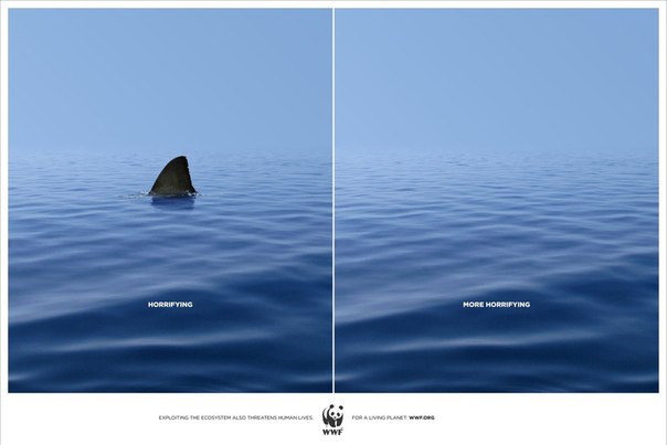 Реклама о вымирании акул: "С ними океан ужасен, а без них еще более ужасающий"