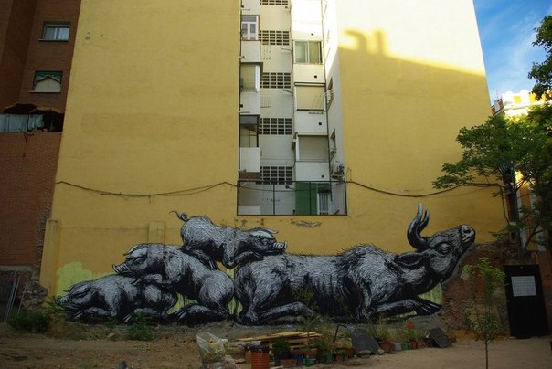 ROA - граффитист из Бельгии, рисующий на стенах огромных черно-белых животных