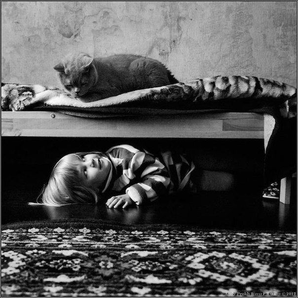 Трогательные фотографии о дружбе девочки и её кота от фотографа Энди Прох