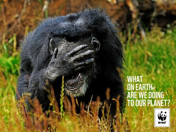 WWF: "Что же мы делаем с нашей планетой?"