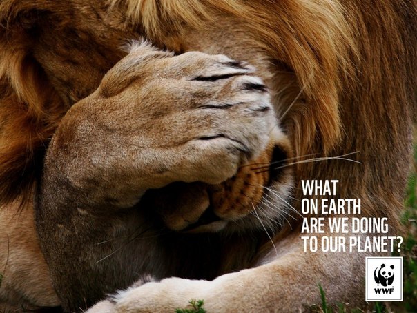 WWF: "Что же мы делаем с нашей планетой?"