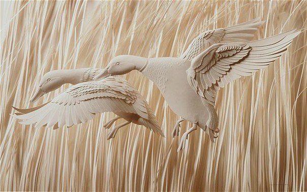 Канадец Кэлвин Николлс вырезает из бумаги удивительно натуральных животных и птиц