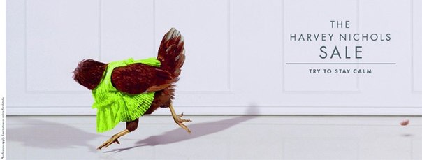 Британский ритейлер Harvey Nichols призывает не быть безголовыми курицами и сохранять спокойствие на распродажах