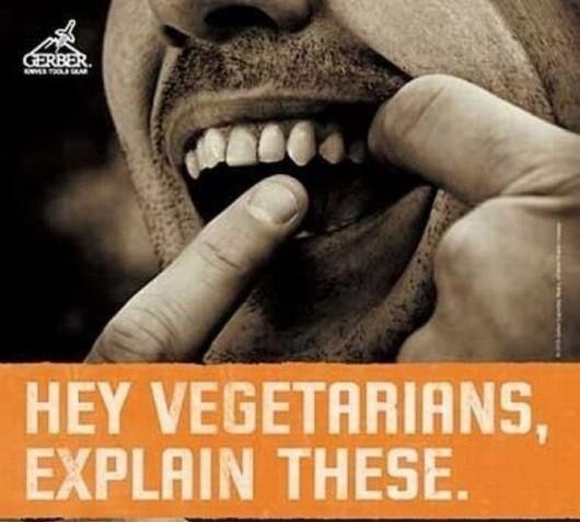 Эй, вегетарианцы, объясните-ка вот это