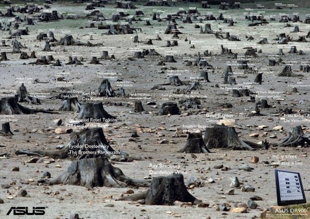 Электронная книга Asus: "Много деревьев останутся живыми"