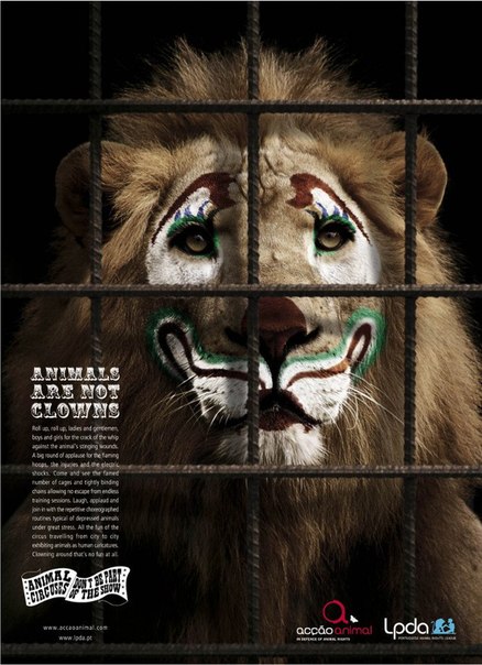 Животные - не клоуны. Откажитесь от посещения цирков с животными, помогите прекратить издевательства.