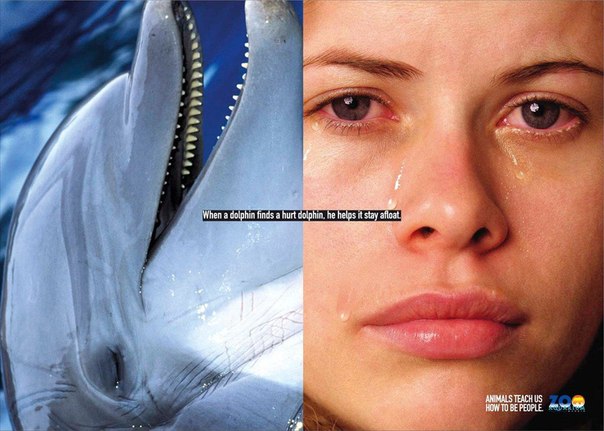 Zoo Aqurium выпустила постеры в защиту животных с хорошей смысловой нагрузкой: "Животные научат нас, как быть людьми"