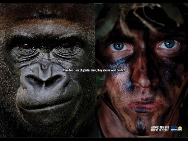 Zoo Aqurium выпустила постеры в защиту животных с хорошей смысловой нагрузкой: "Животные научат нас, как быть людьми"