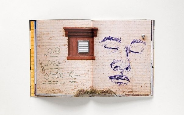 Дизайнер из Нью-Йорка Sherwood Forlee создал ежедневник для творческих людей, каждый разворот которого представляет собой фотографию стены.