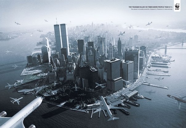 WWF: "Из-за цунами погибло в 100 раз больше людей, чем из-за 9/11. Планета чрезвычайно могущественна. Уважайте ее"